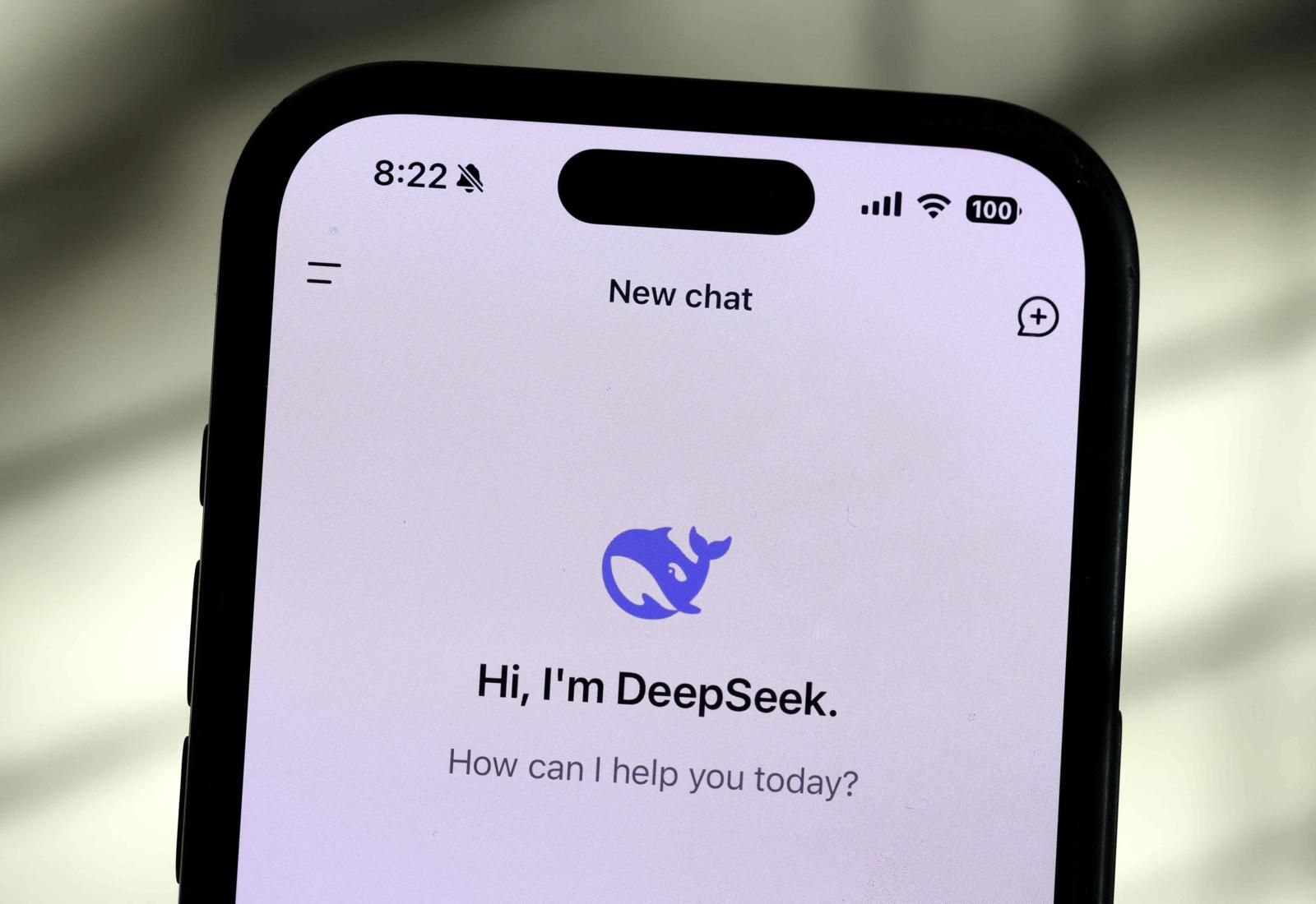 Application iPhone Deepseek