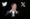 Elon Musk, propriétaire de X (Twitter)