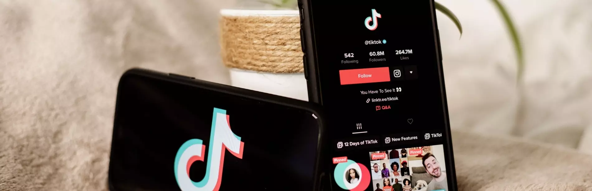 Guide et outils de TikTok pour la sécurité des marques et le contrôle des annonces.