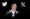 Elon Musk devant le logo X, transition de Twitter vers une application universelle.